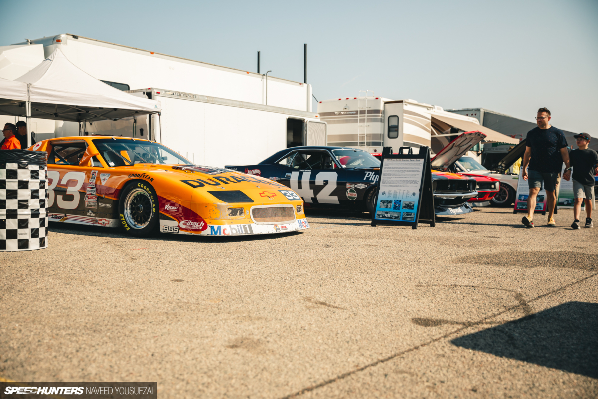 IMG_1854Copyrighted-By-Naveed-Yousufzai