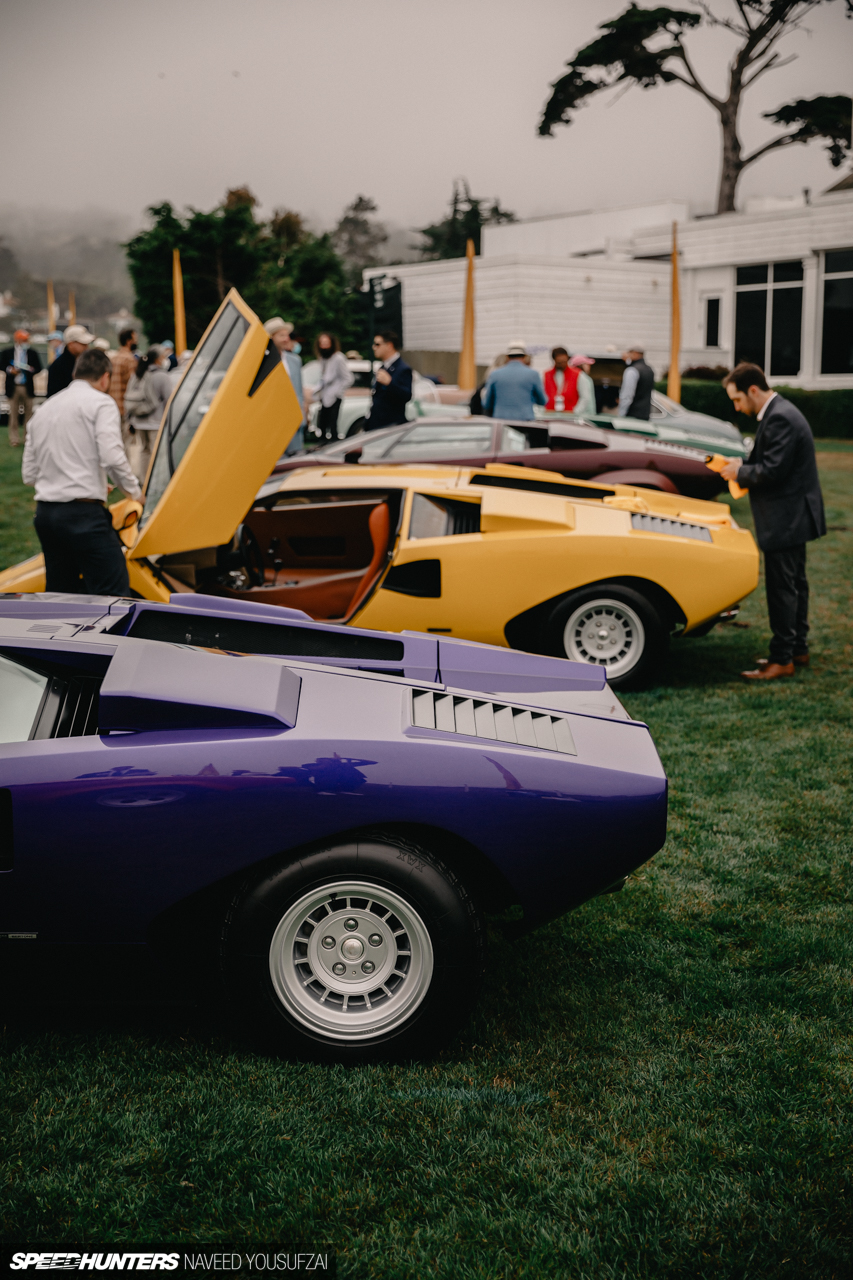 IMG_3463Copyrighted-By-Naveed-Yousufzai