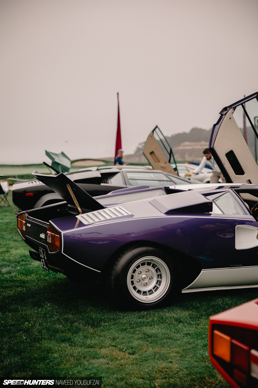 IMG_3467Copyrighted-By-Naveed-Yousufzai