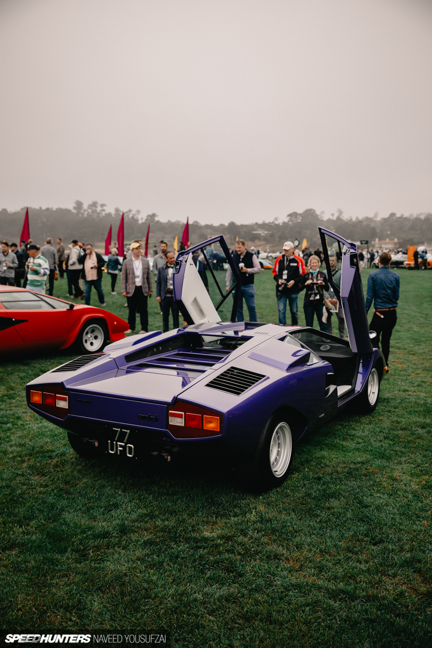 IMG_3472Copyrighted-By-Naveed-Yousufzai