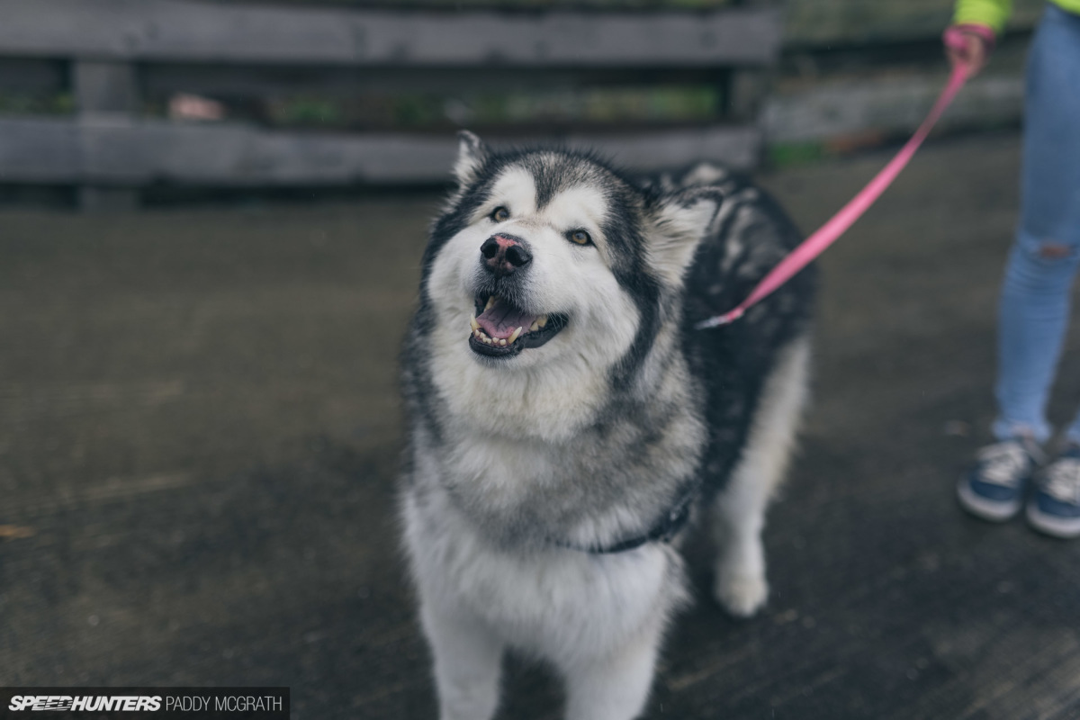 2021 Juicebox BBQ Speedhunters by Paddy McGrath-6