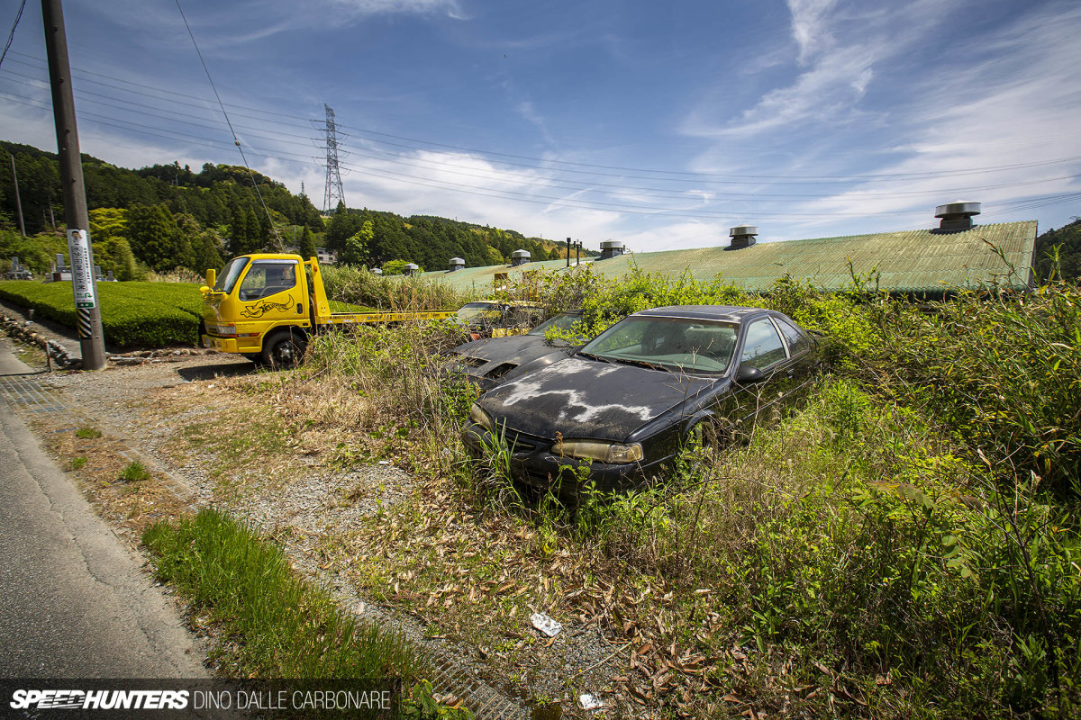 yellow_shark_dino_dalle_carbonare_01