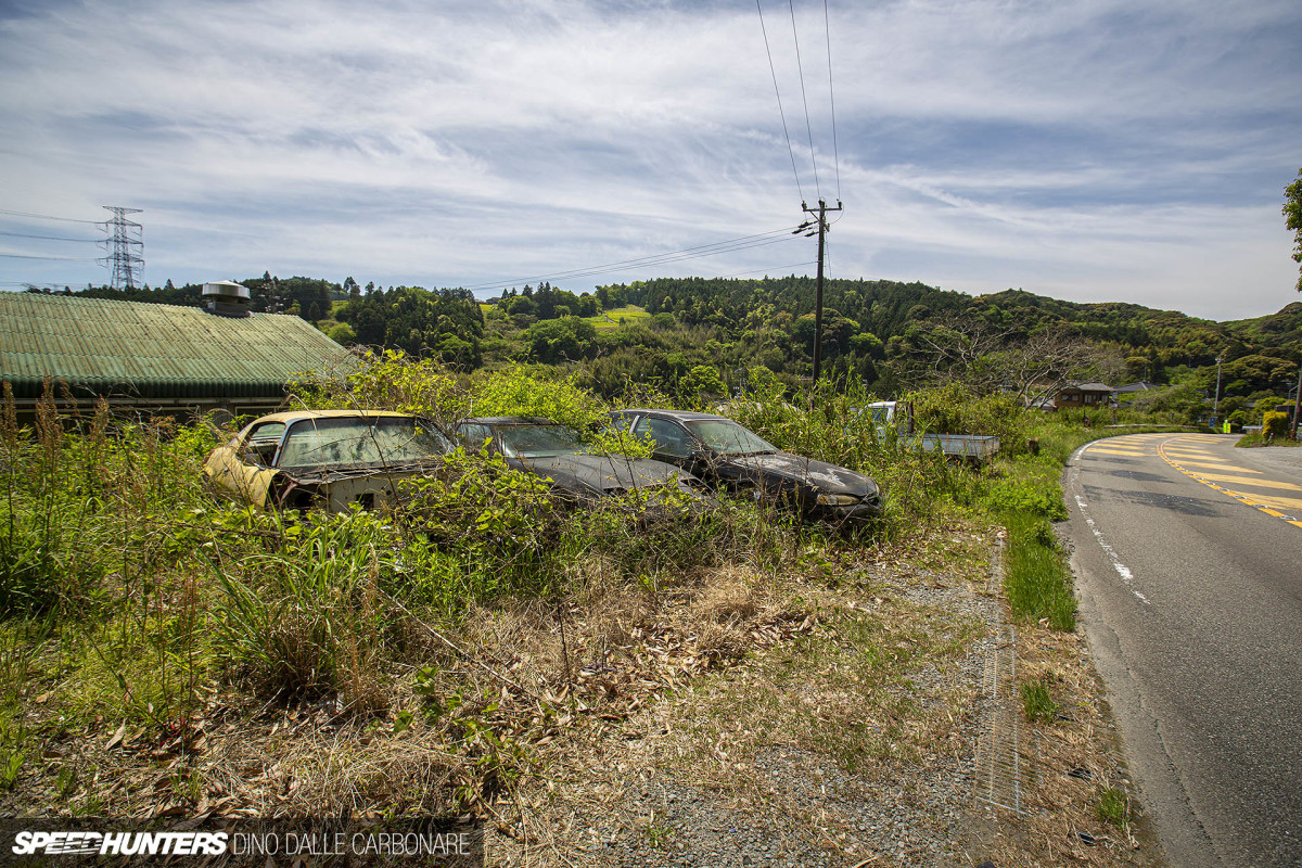 yellow_shark_dino_dalle_carbonare_02