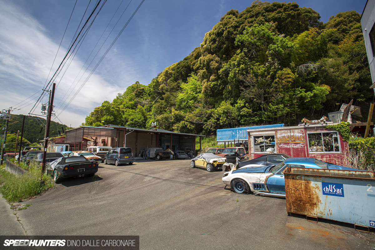 yellow_shark_dino_dalle_carbonare_03