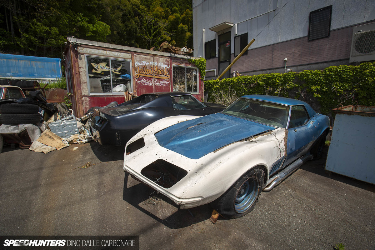 yellow_shark_dino_dalle_carbonare_04