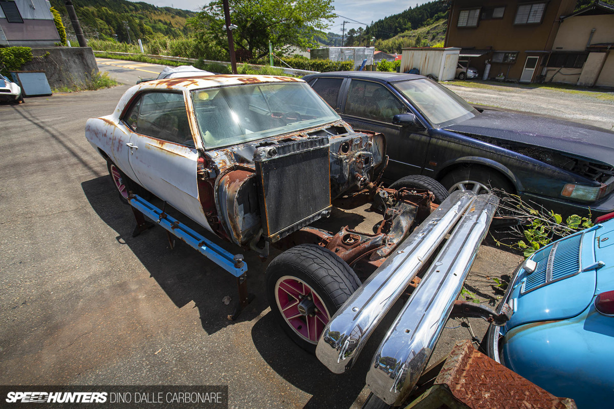 yellow_shark_dino_dalle_carbonare_05