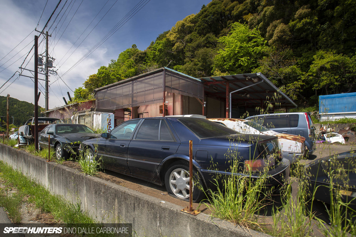 yellow_shark_dino_dalle_carbonare_10