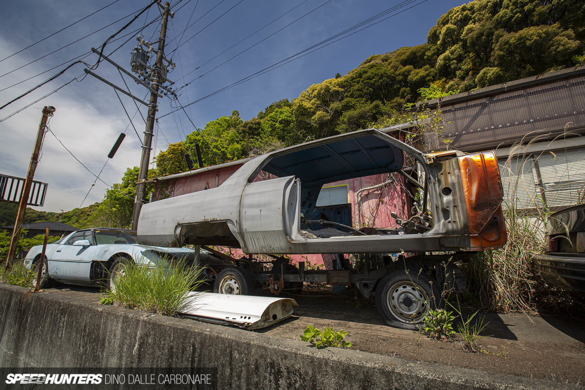 yellow_shark_dino_dalle_carbonare_11