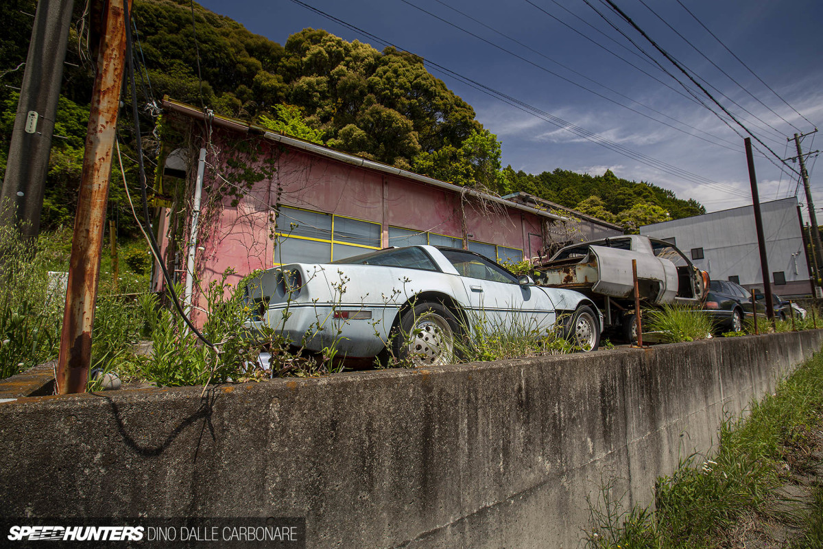 yellow_shark_dino_dalle_carbonare_12