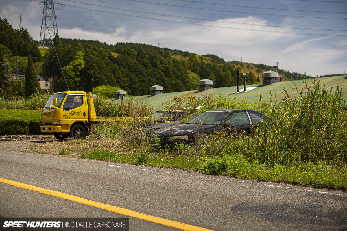 yellow_shark_dino_dalle_carbonare_13
