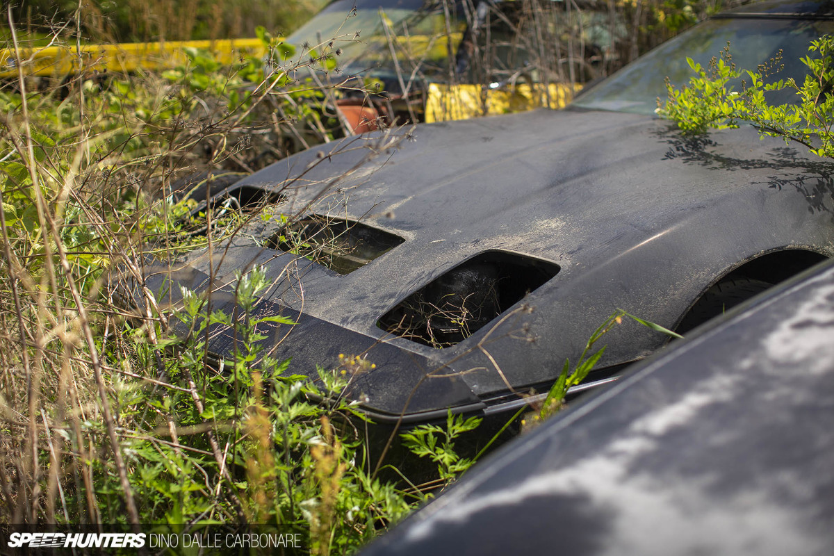 Yellow Shark & The American Car Cemetery