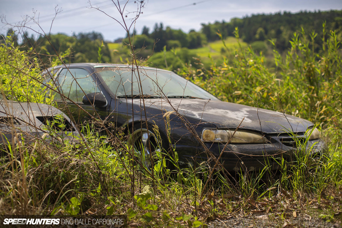 yellow_shark_dino_dalle_carbonare_15