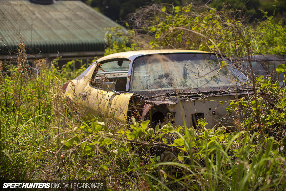 yellow_shark_dino_dalle_carbonare_16