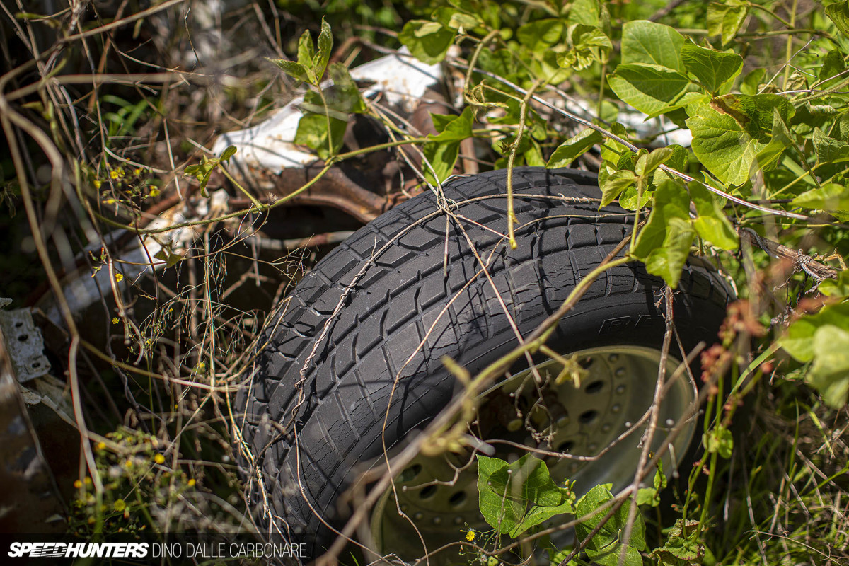 yellow_shark_dino_dalle_carbonare_18