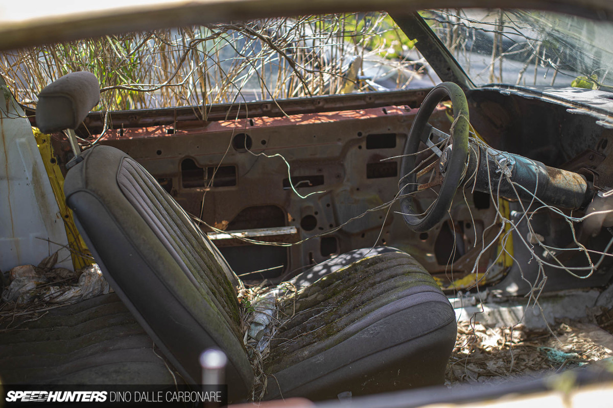 yellow_shark_dino_dalle_carbonare_19