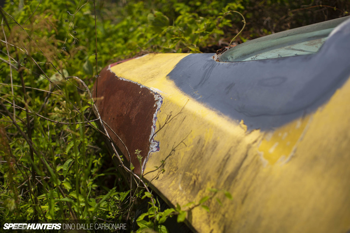 yellow_shark_dino_dalle_carbonare_20