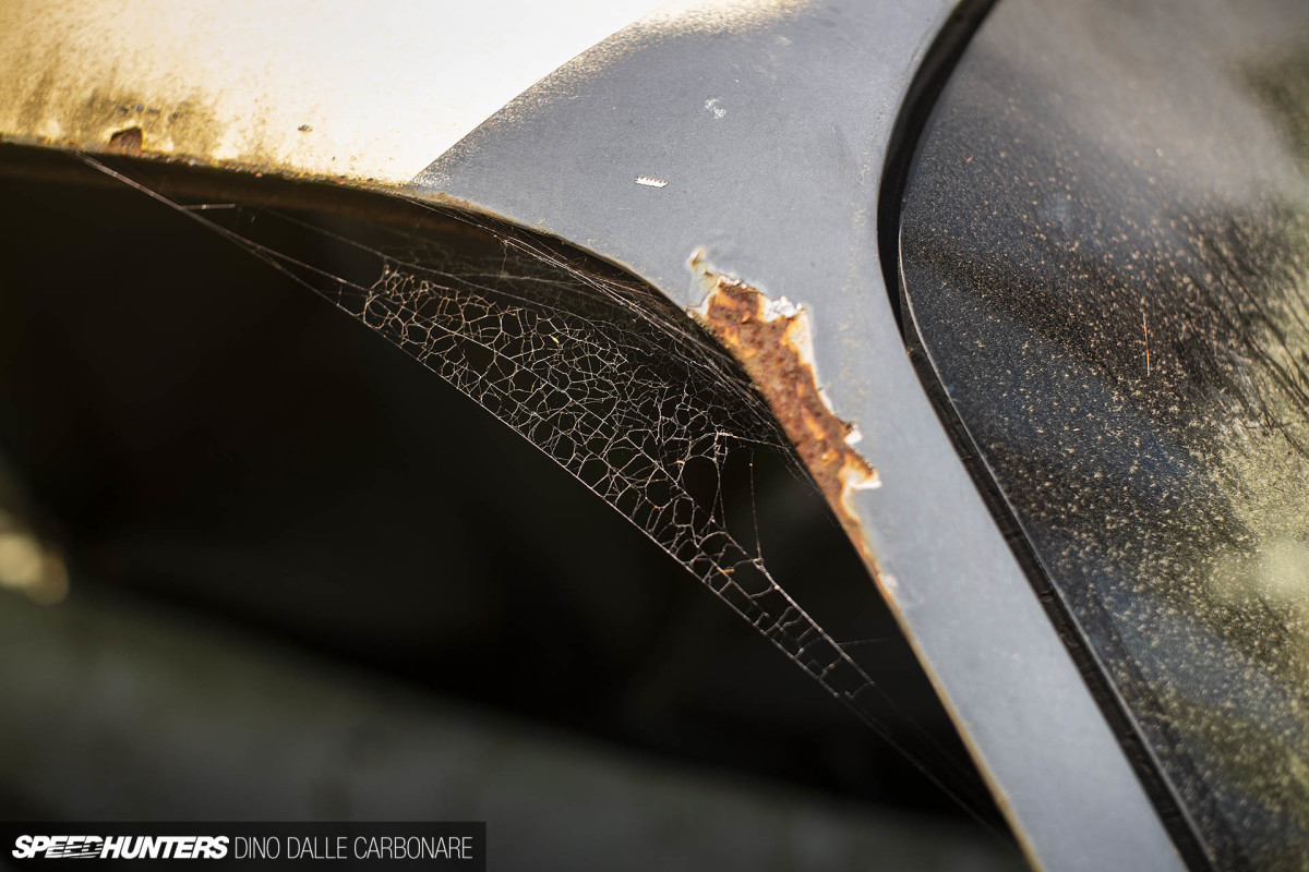 yellow_shark_dino_dalle_carbonare_21