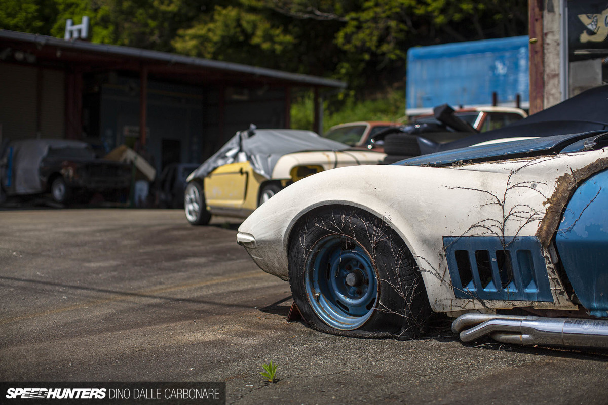 yellow_shark_dino_dalle_carbonare_23