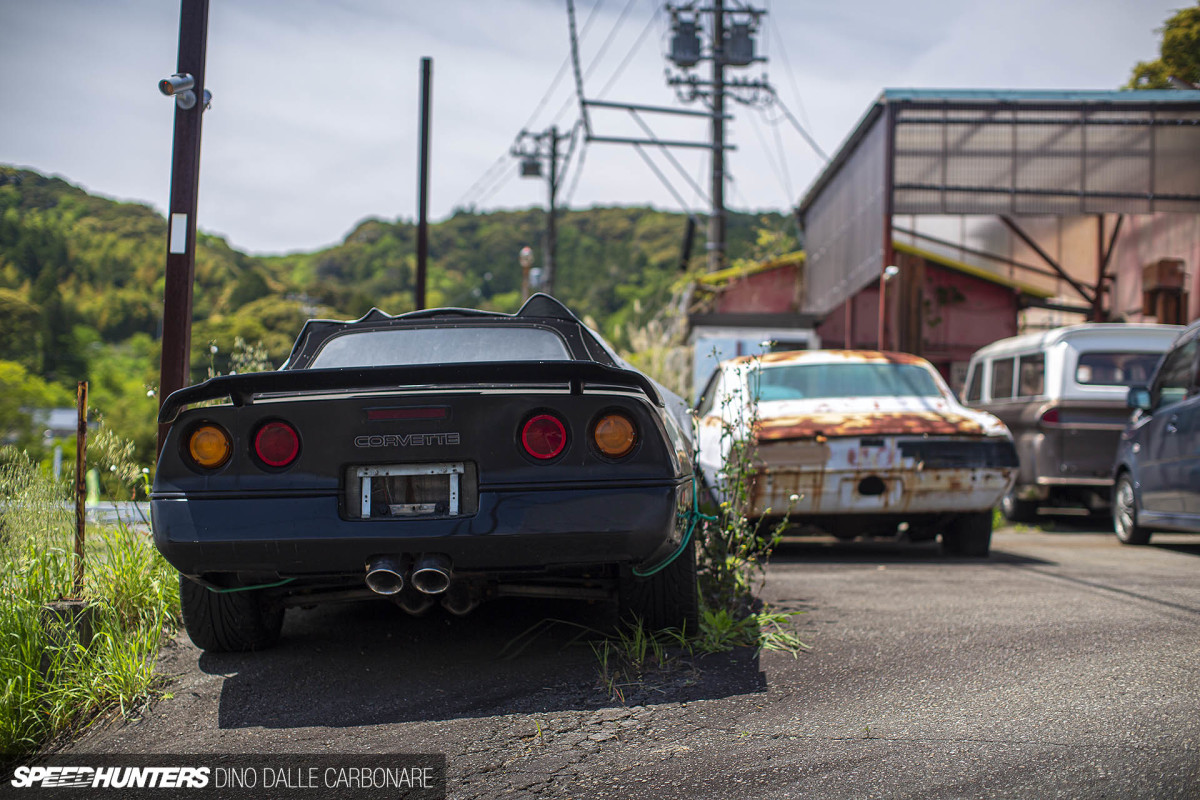 yellow_shark_dino_dalle_carbonare_24