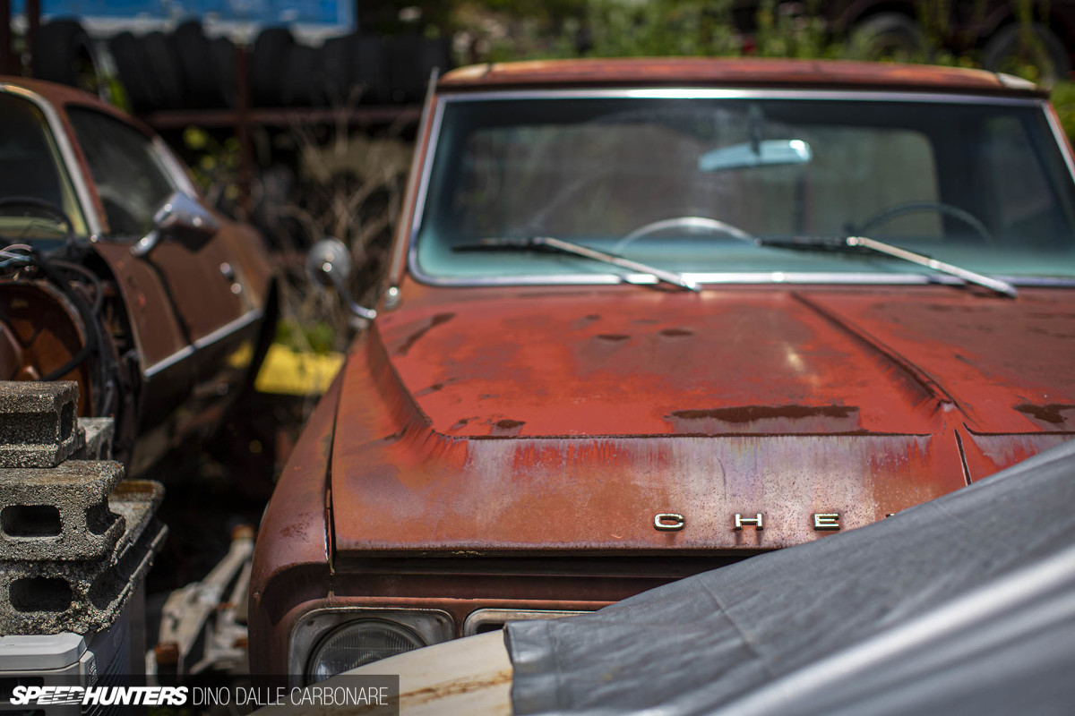 yellow_shark_dino_dalle_carbonare_27