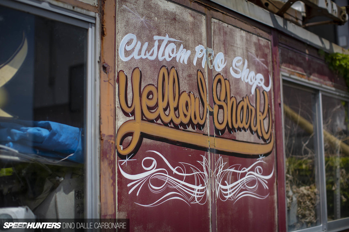 yellow_shark_dino_dalle_carbonare_28