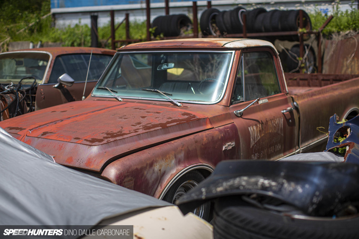 yellow_shark_dino_dalle_carbonare_29