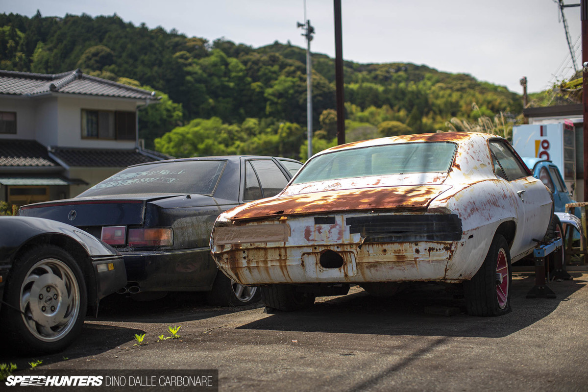 yellow_shark_dino_dalle_carbonare_30