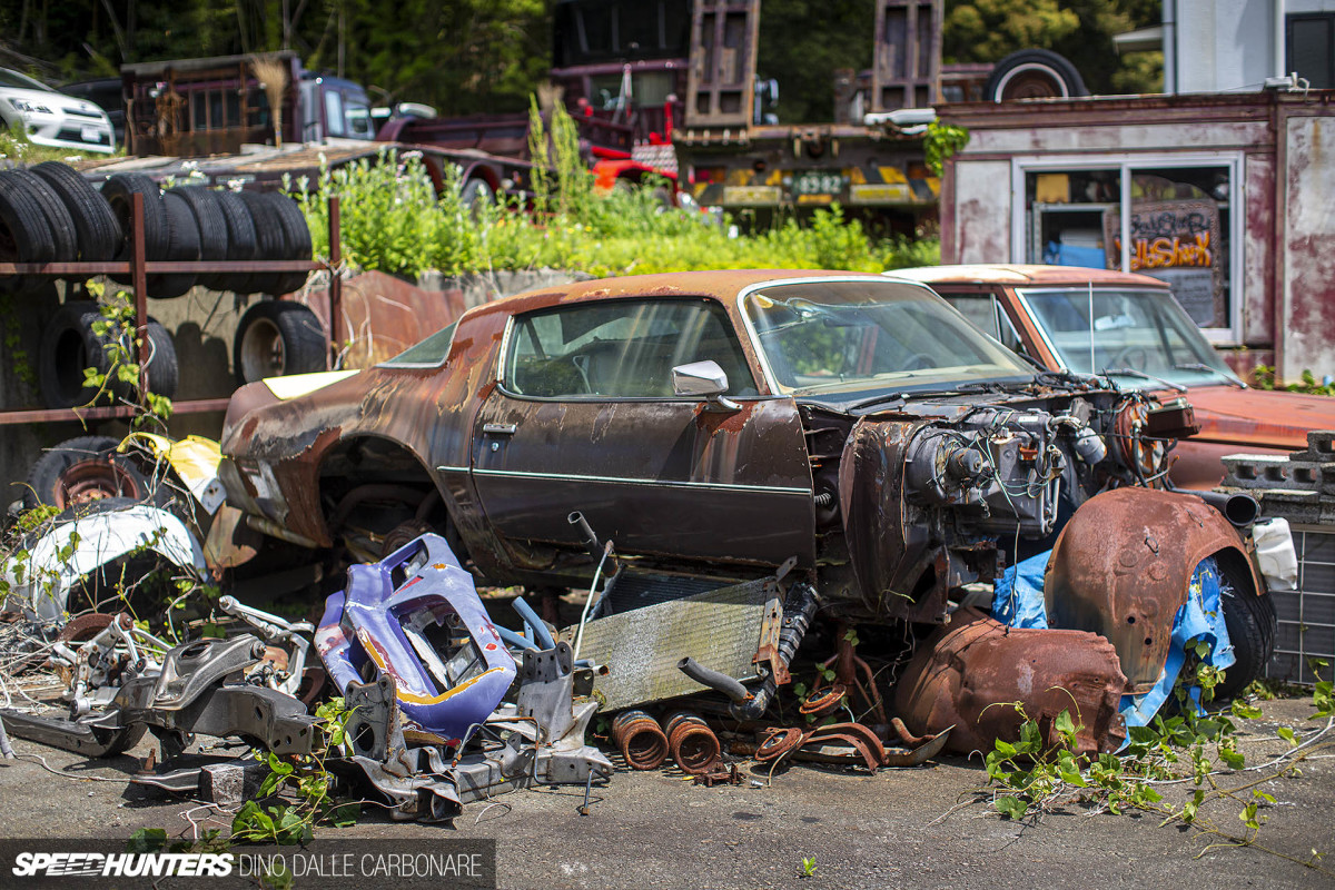 yellow_shark_dino_dalle_carbonare_32