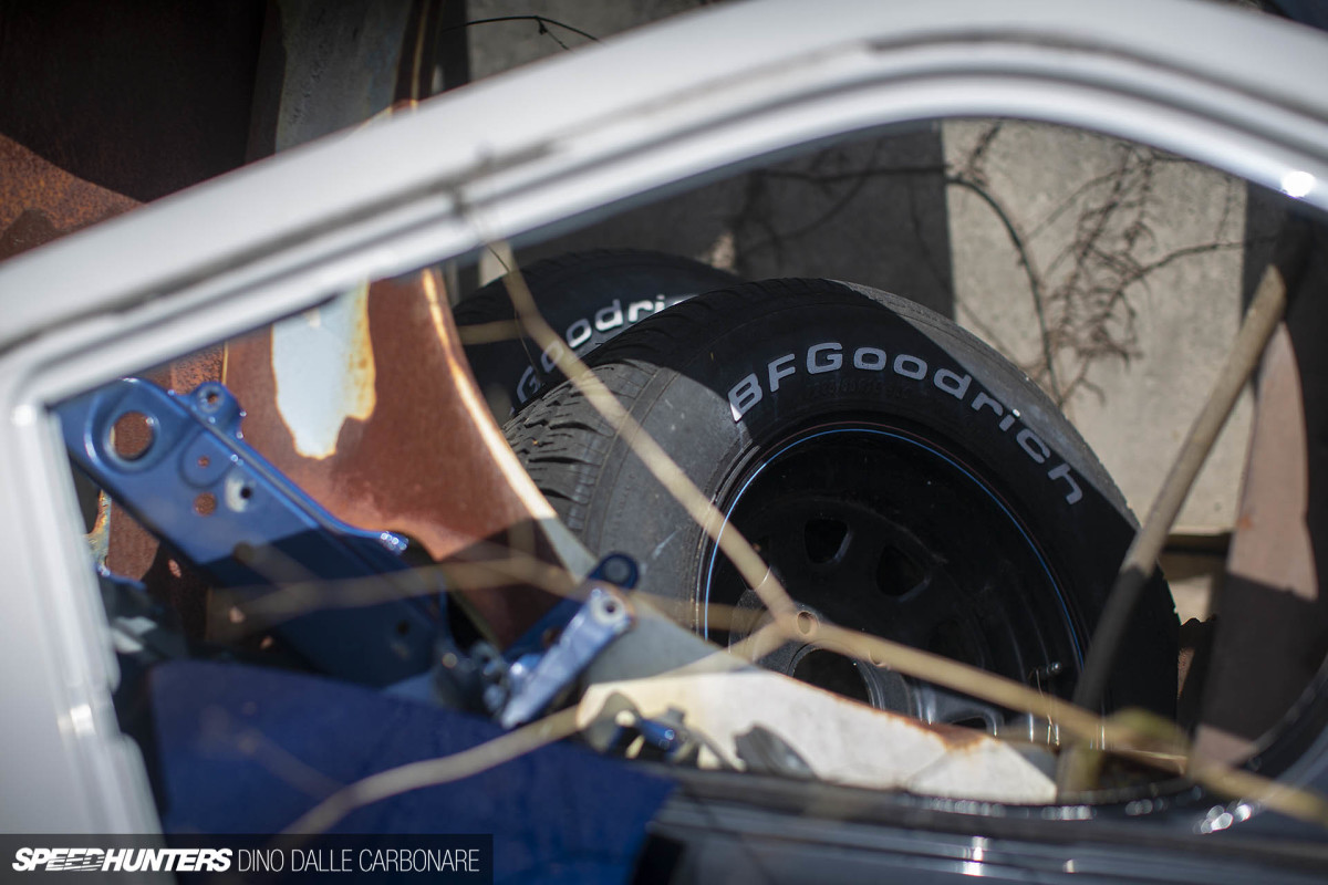 yellow_shark_dino_dalle_carbonare_36