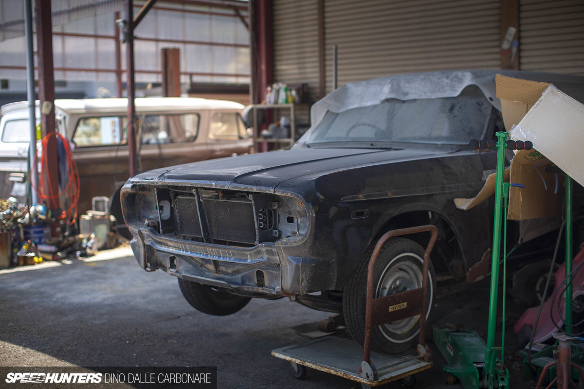 yellow_shark_dino_dalle_carbonare_38