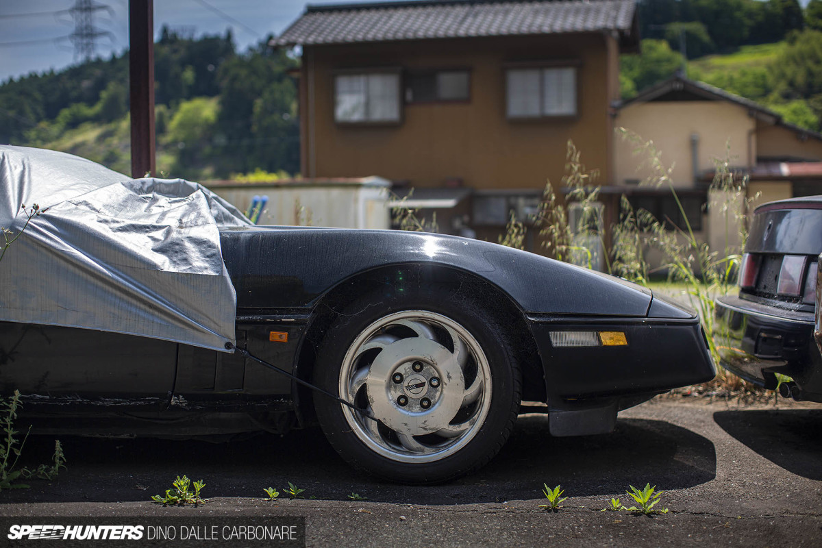 yellow_shark_dino_dalle_carbonare_39