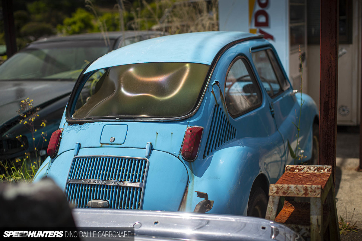 yellow_shark_dino_dalle_carbonare_41