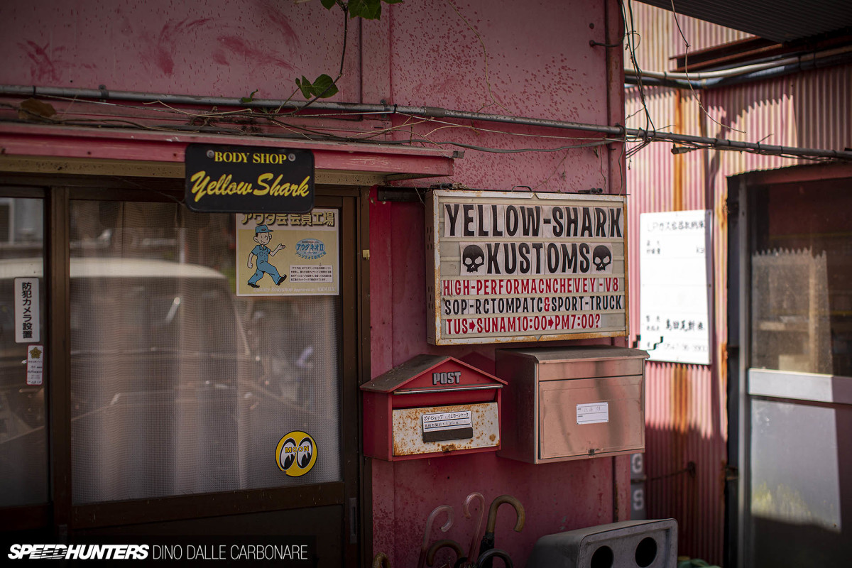 yellow_shark_dino_dalle_carbonare_42