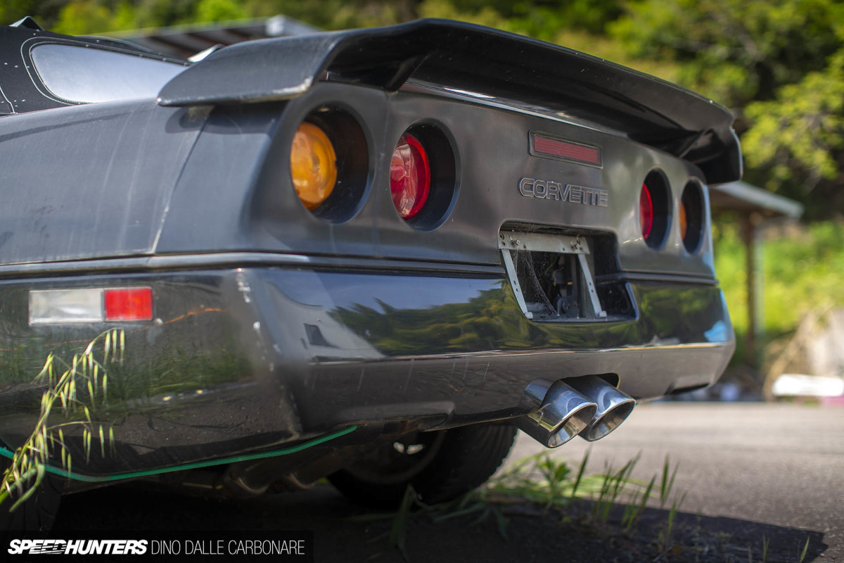 yellow_shark_dino_dalle_carbonare_44