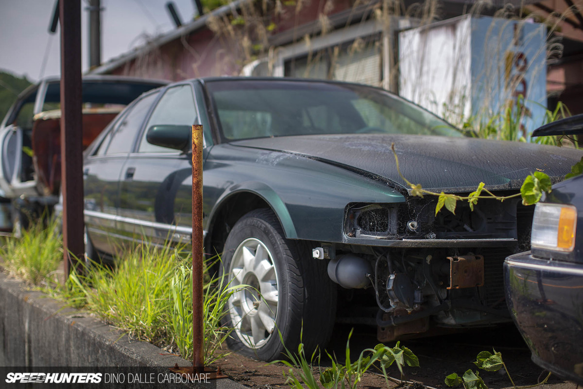 yellow_shark_dino_dalle_carbonare_45