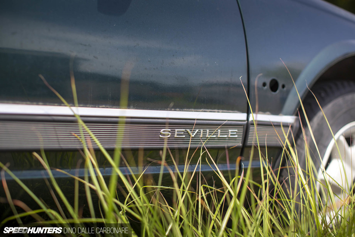 yellow_shark_dino_dalle_carbonare_46