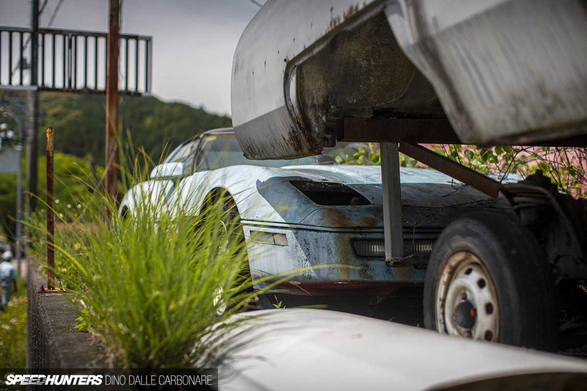 yellow_shark_dino_dalle_carbonare_47