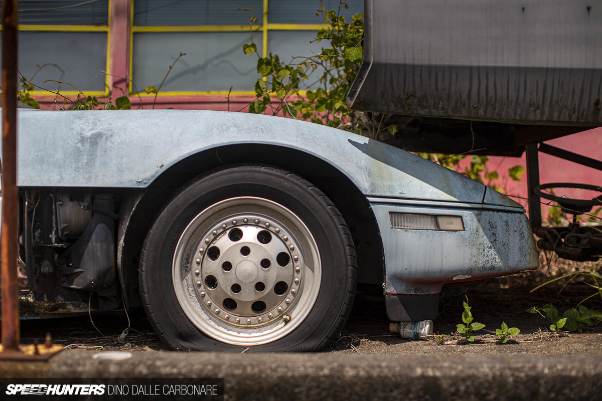 yellow_shark_dino_dalle_carbonare_48