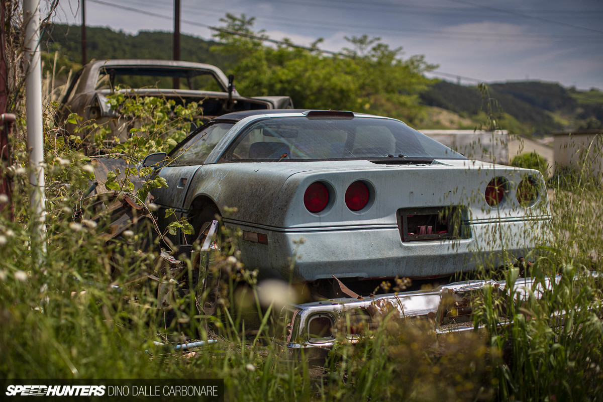 yellow_shark_dino_dalle_carbonare_49