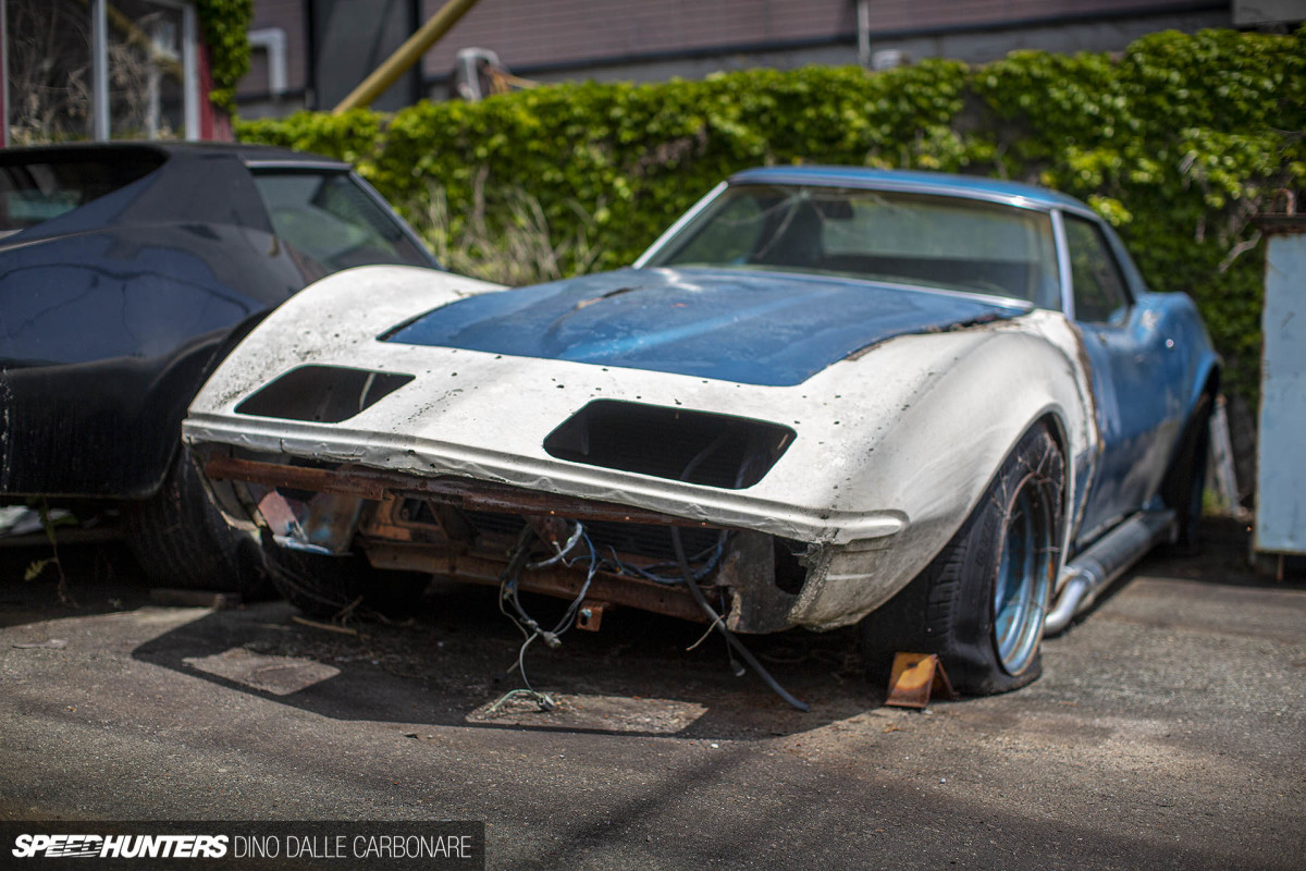 yellow_shark_dino_dalle_carbonare_50