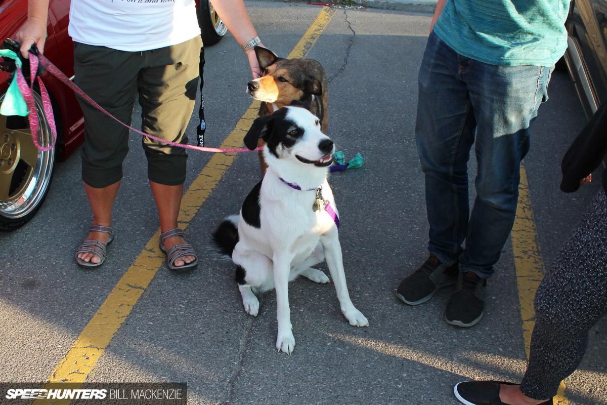 Speedhunters Save the Car Meets 20