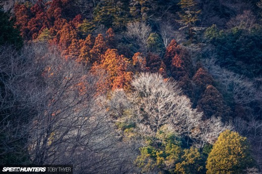 Toby_Thyer_Photographer_-17