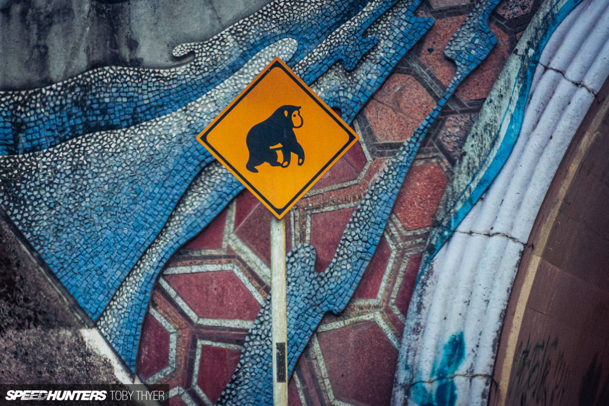 Toby_Thyer_Photographer_-25