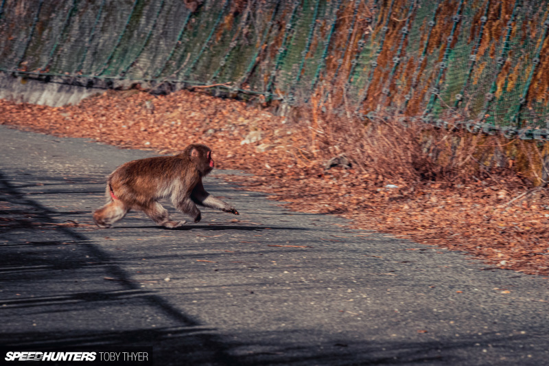 Toby_Thyer_Photographer_-29