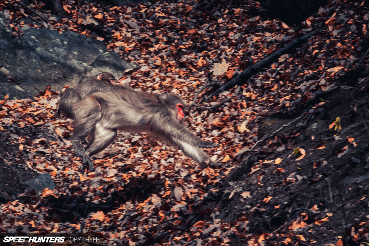 Toby_Thyer_Photographer_-30