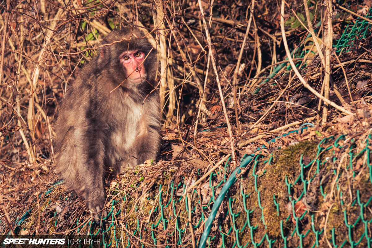 Toby_Thyer_Photographer_-33