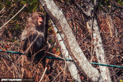 Toby_Thyer_Photographer_-34