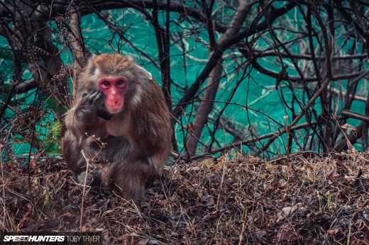 Toby_Thyer_Photographer_-35