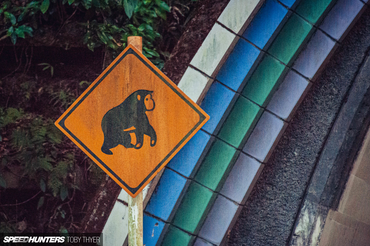 Toby_Thyer_Photographer_-91