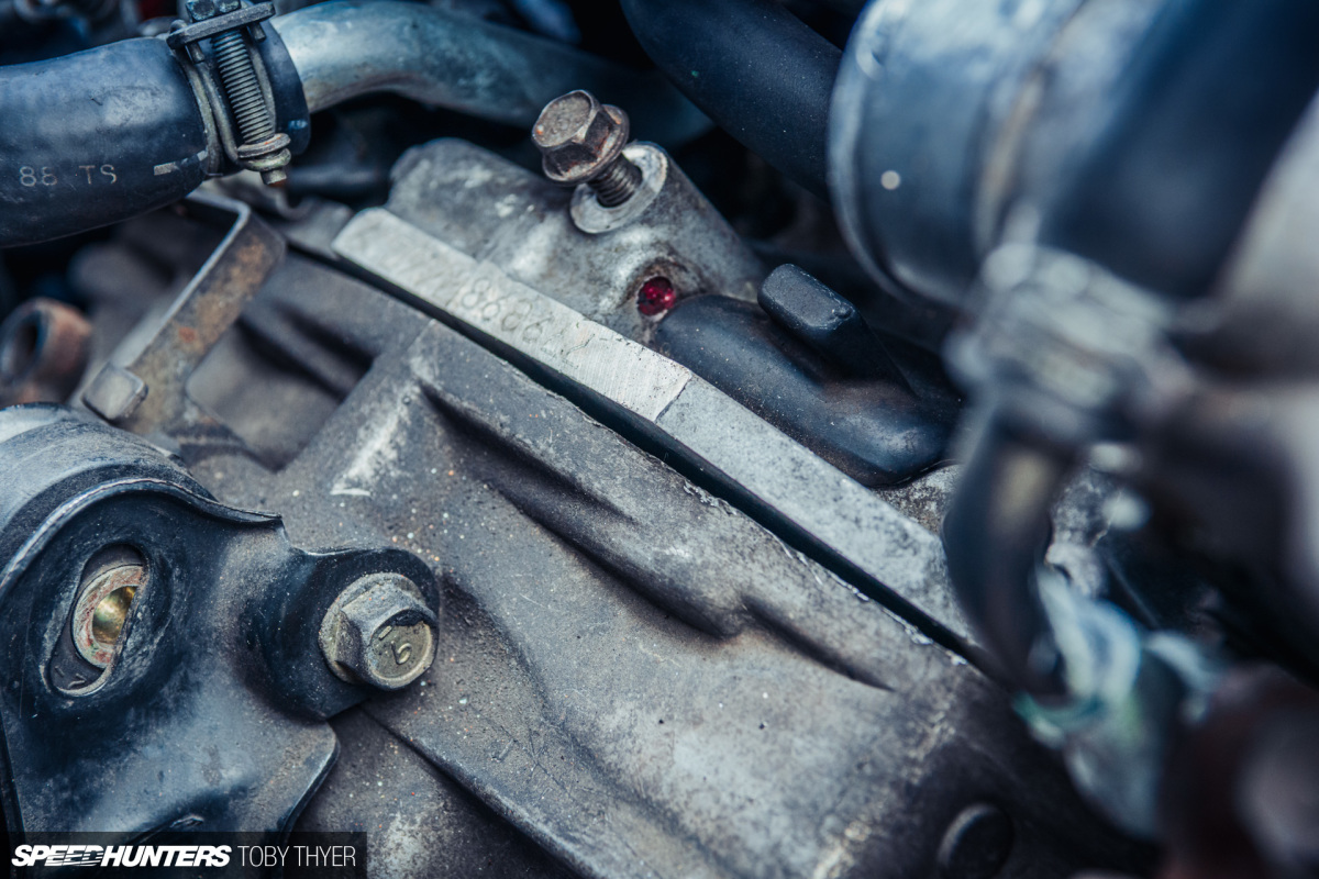 Toby_Thyer_Photographer_-72